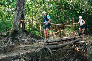 BIB: 
                            <button type="button" onclick="openModal(27548977)" class="btn btn-primary btn-sm float-right btn-popup" data-toggle="modal" data-target=".modal-high-quality">
                        <i class="fas fa-shopping-cart"></i> Add to Cart
                    </button>
                                            <button type="button" onclick="isThisMe(27548977, true)" class="btn btn-success btn-sm float-right btn-popup btn-isme hidden" data-toggle="tooltip" data-placement="bottom" title="นี่คือรูปของคุณใช่ไหม คลิกที่นี่เพื่อเอาเข้าอัลบั้ม">
                        <i class="fas fa-plus"></i> Add to album
                    </button>
                    <button type="button" onclick="isThisMe(27548977, false)" class="btn btn-warning btn-sm float-right btn-popup btn-isnotme hidden">
                        <i class="fas fa-ban"></i> Remove from album
                    </button>